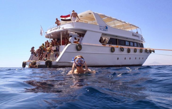 excursion to Cairo, Nile Cruise, Alexandria and Sharm El Sheikh