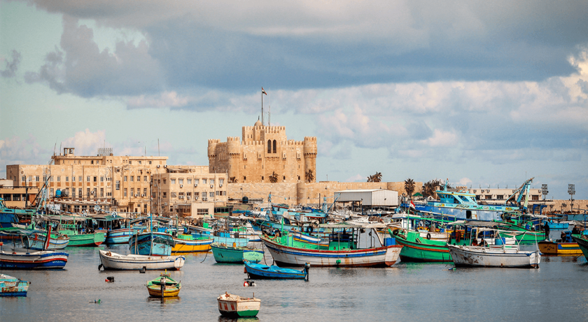 ALexandria Tours do Cairo