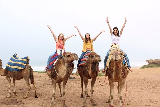 National Park & Temple safari from Marsa Alam