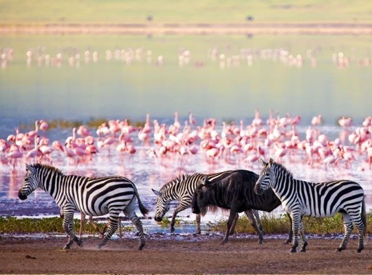 2 Days Safari Lodge Safari