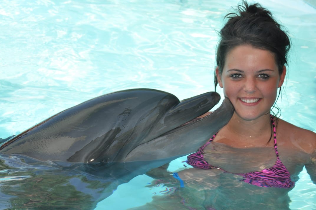 Dahab Tours to Dolphin Show