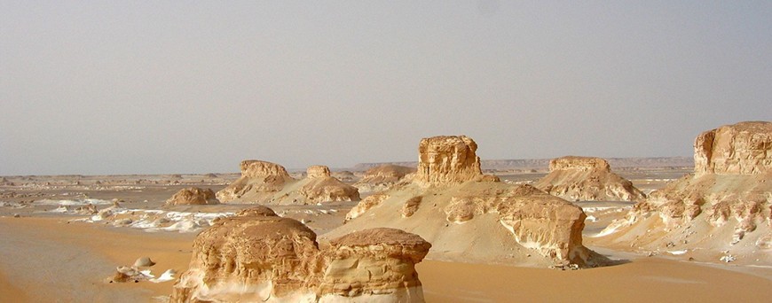 Desert Safari in Egypt from Luxor