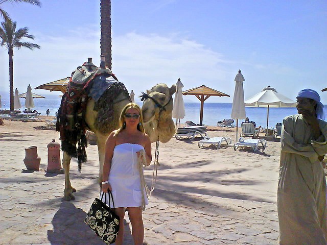 Cairo,Nile cruise and taba tours