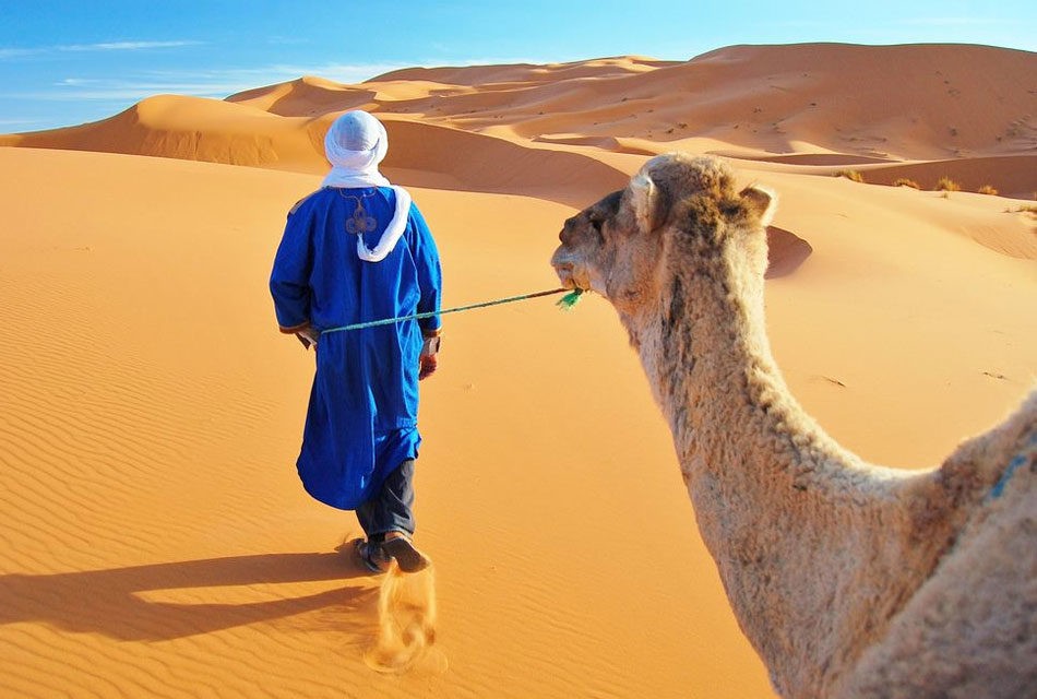 Morocco Desert Safari Tours
