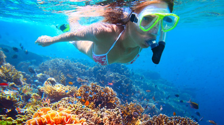 Snorkeling Tours in Taba