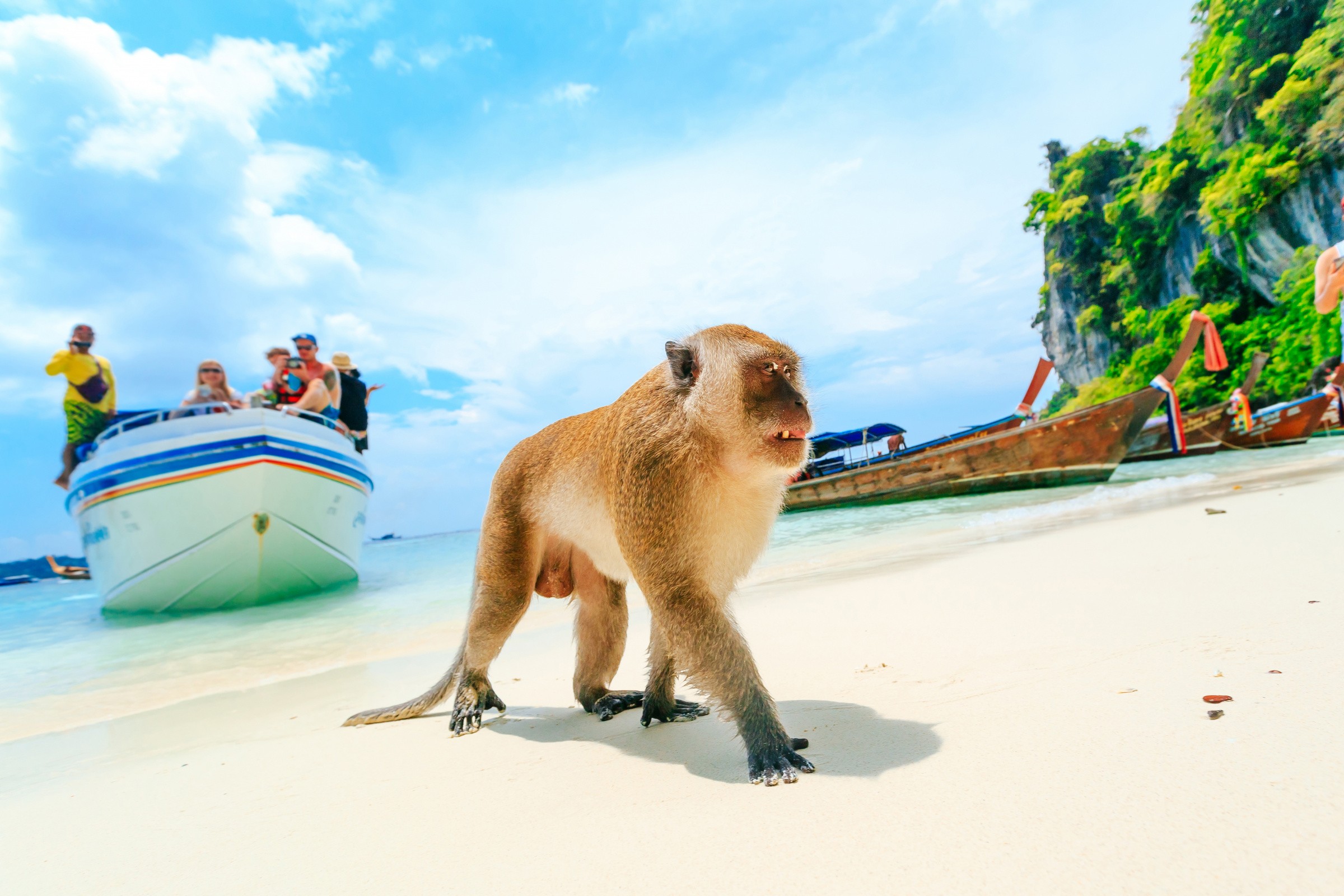 Phi Phi Island Tour in Thailand