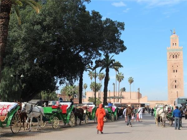 Morocco Holiday to Marrakech