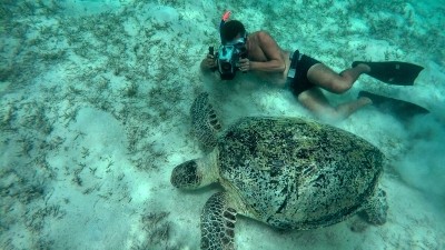Sharm El Luli snorkeling tours