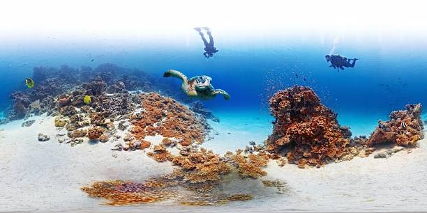 Esnórquel Tour en Port Ghalib desde Marsa Alam