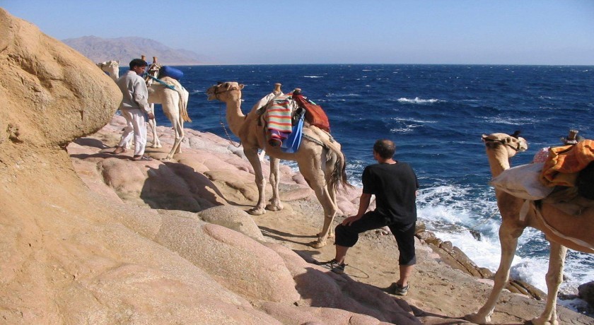 Safari Tours en Dahab del Puerto de Sharm El Sheikh
