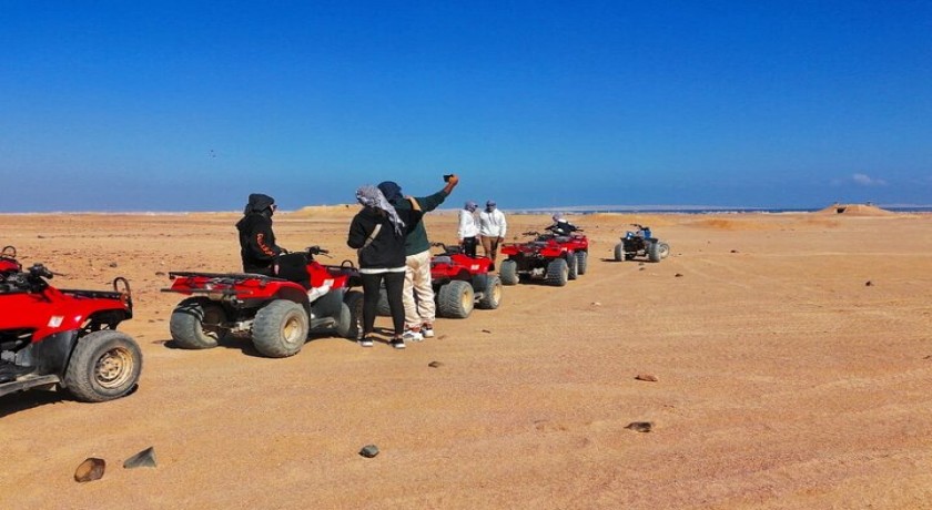 Melhores passeios de safári em Dahab