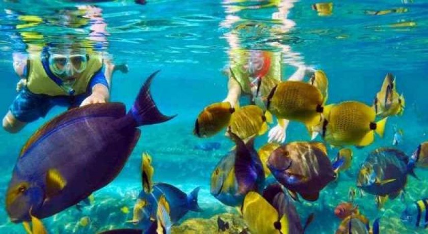 Snorkel Tour em Giftun do Porto de Safaga