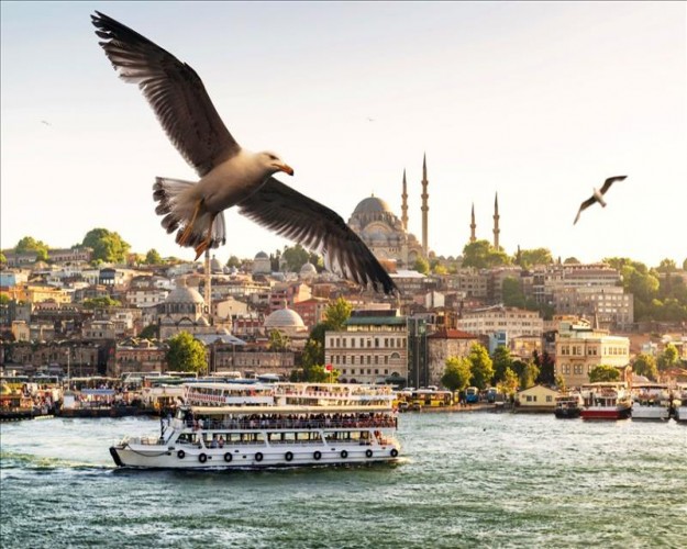 Isanbul Full-Day Bosphorus and Blak sea cruise