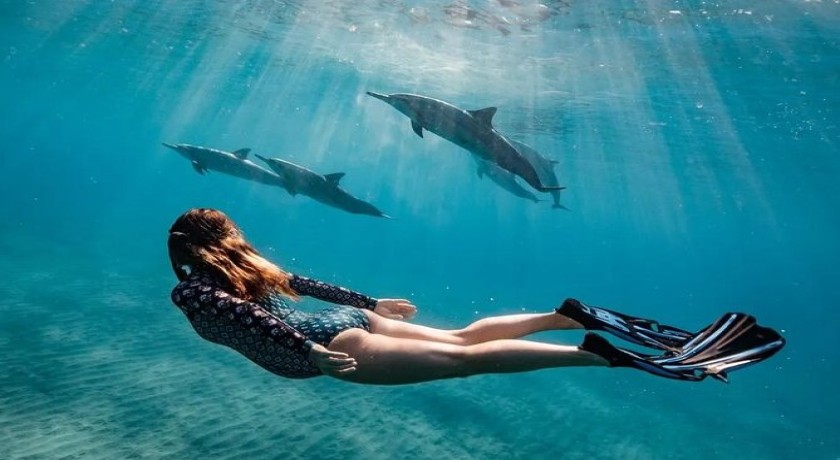 Swim With Dolphins Excursion in Sharm el Sheikh