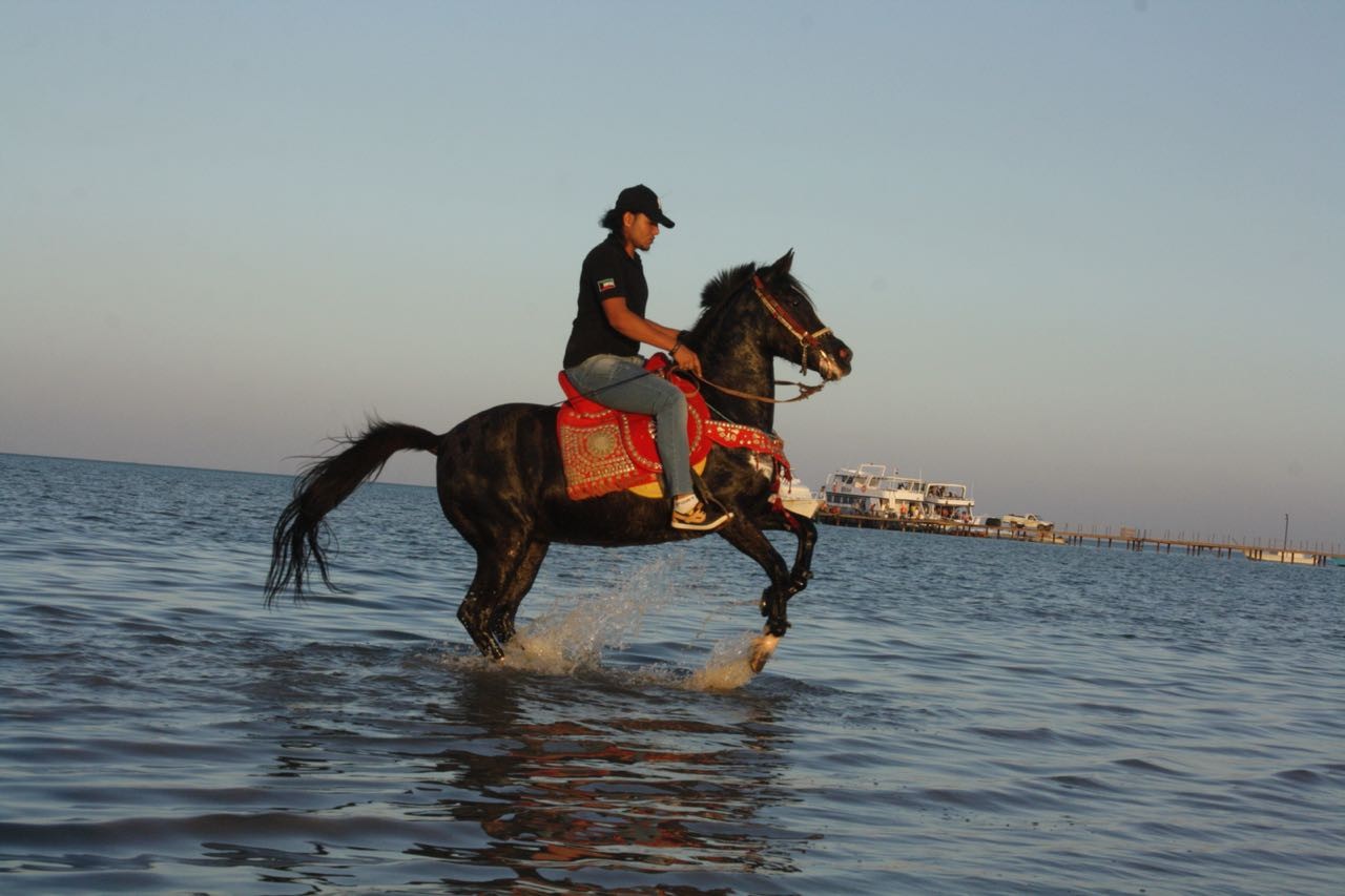 Al Fayoum Tours from Cairo