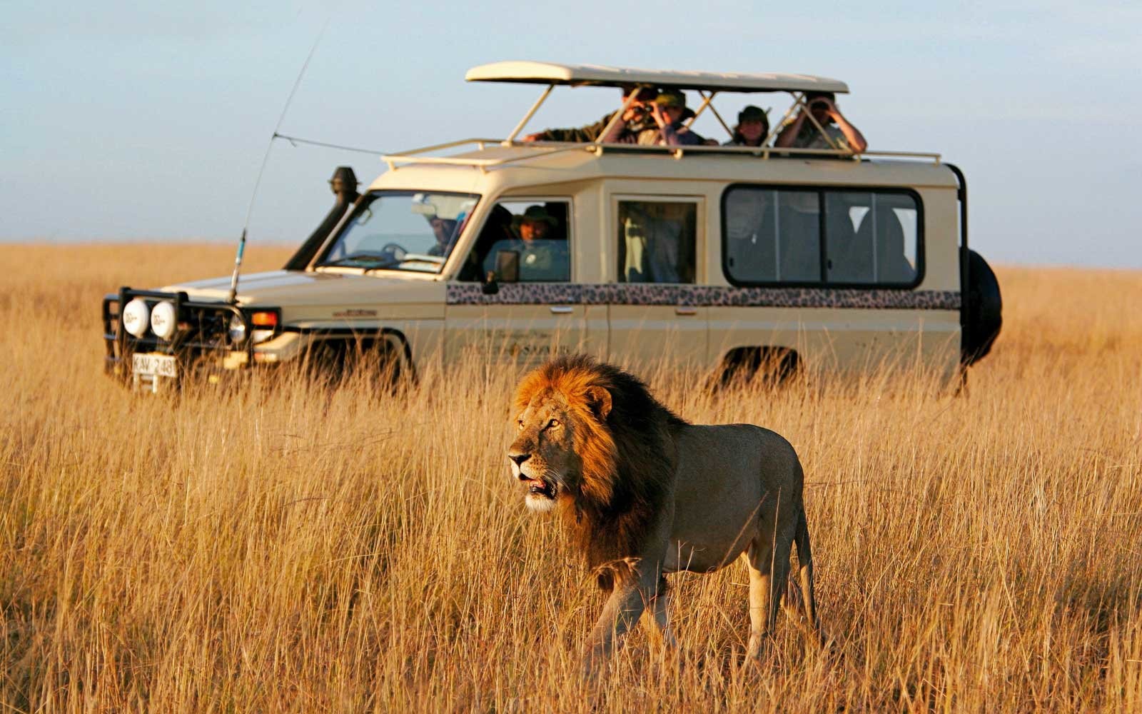 Northern Kenya Safari & Wildlife Holiday Packages