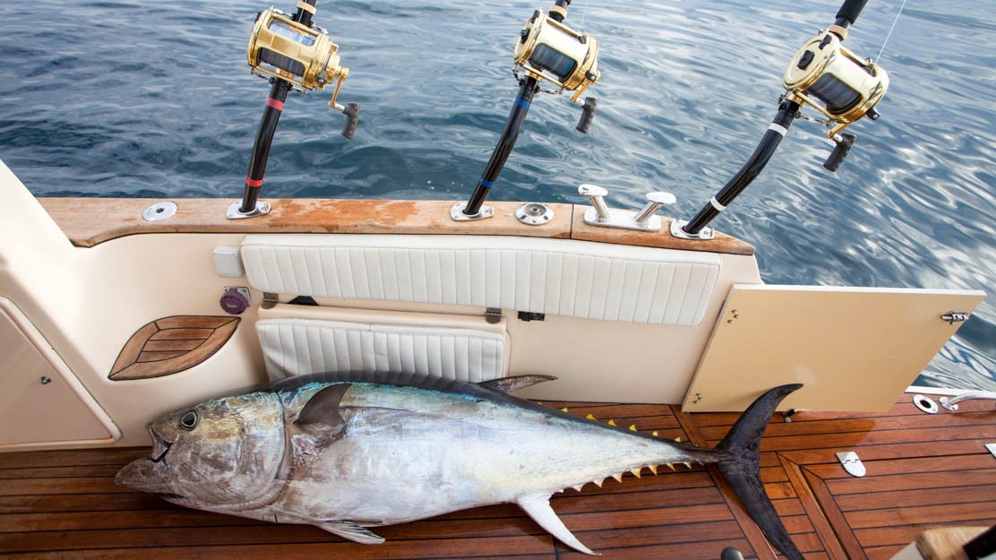 Fishing Tour by boat in Hurghada