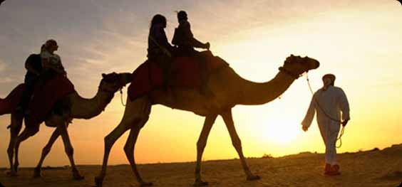 Sharm El Sheikh Tours to Quad Bike and Camel Ride Safari