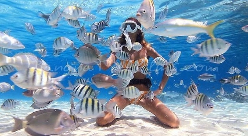 Viajes a Hurghada y Luxor Tours