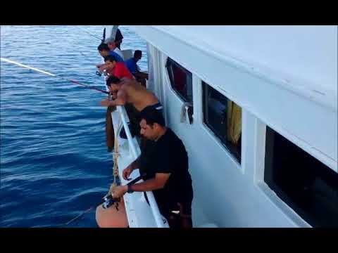 Yate de pesca en el Mar Rojo desde en Ain Sokhna