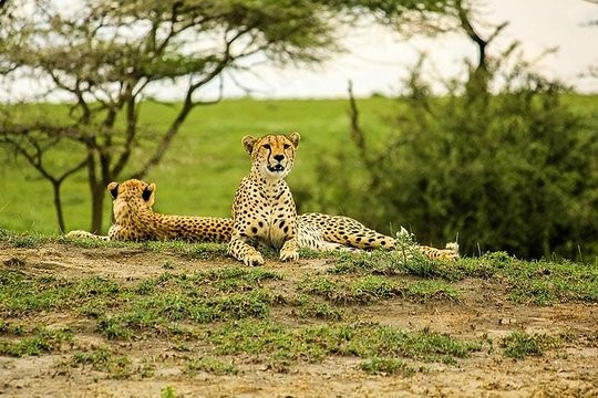 Lake Manyara and Ngorongoro Crater