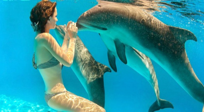 Viajes Marsa Alam y El Cairo Excursiones