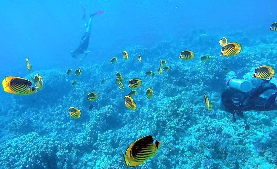 8 Days Things to do in Hurghada and Luxor Trips