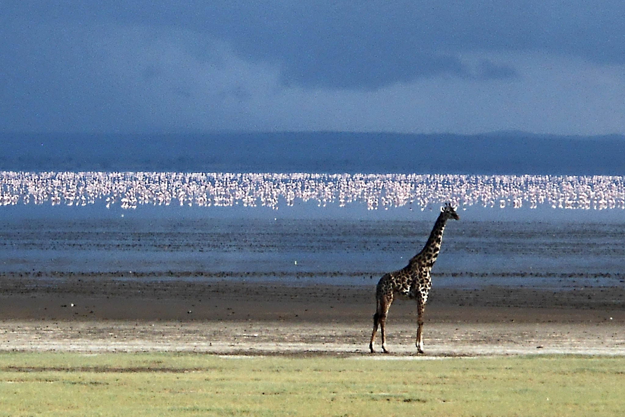 1 Nights Safari To Tarangire And Lake Manyara