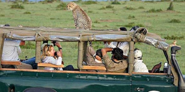 Paquetes de Viajes y Safari en Kenia