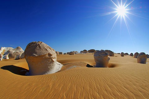 Egypt Safari Packages: Unveiling Ancient Wonders