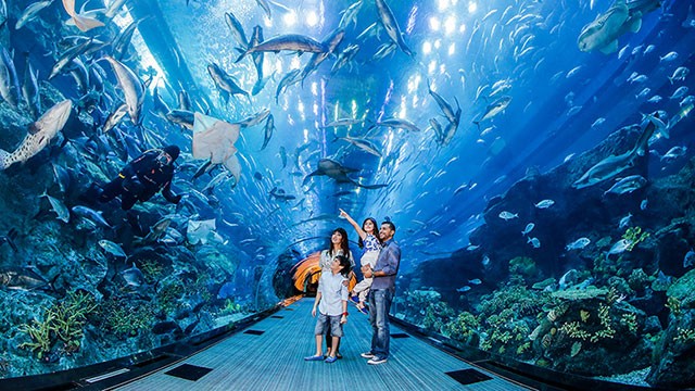 Dubai Holidays and Packages