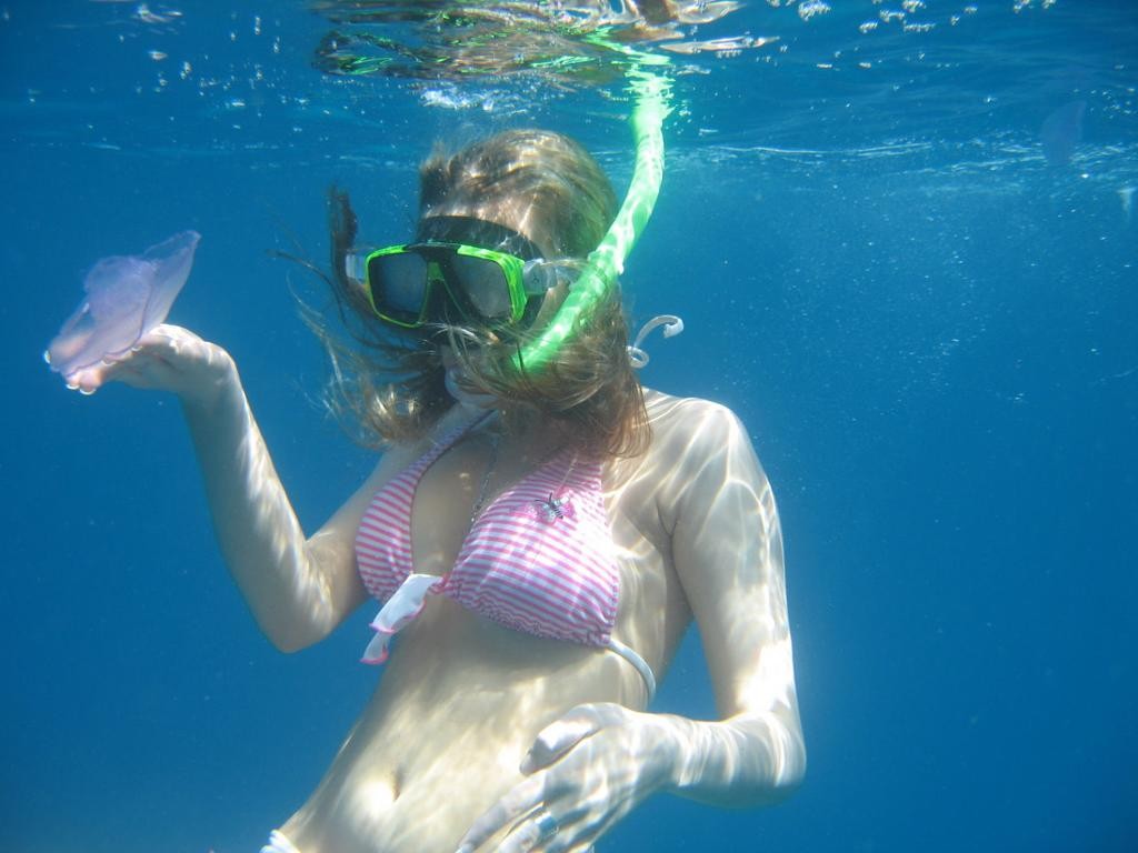 Ras Mohamed Tours from Dahab