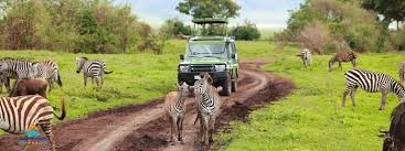 Safari Tours en el norte de Kenia