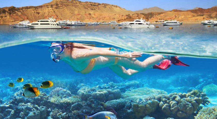 Sharm El Luli Tours em Marsa Alam