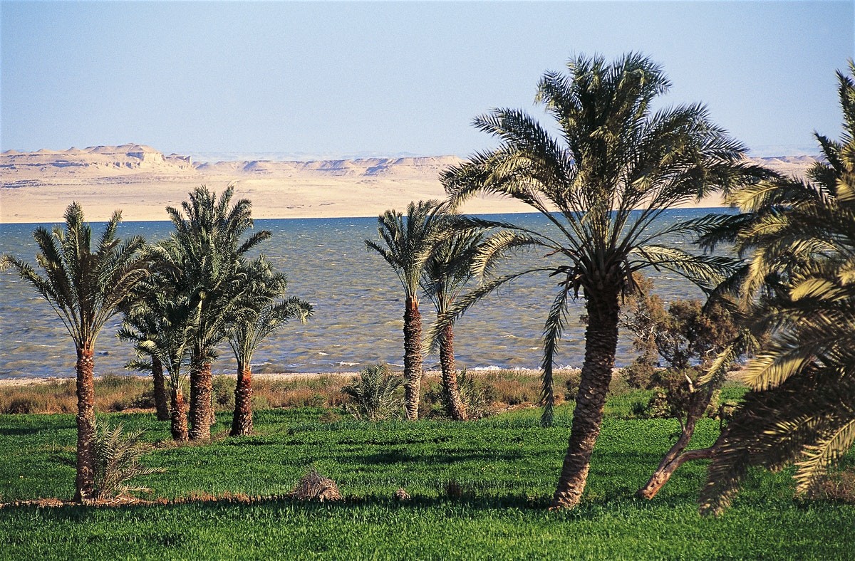 Al Fayoum Tours from Cairo