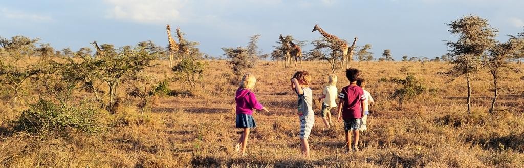 Northern Kenya Safari & Wildlife Holiday Packages