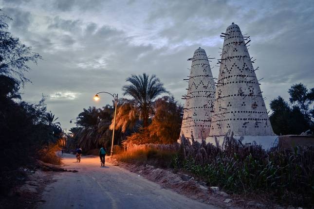 Cairo, Alexandria and Siwa Oasis Tour - Egypt Safari Tours
