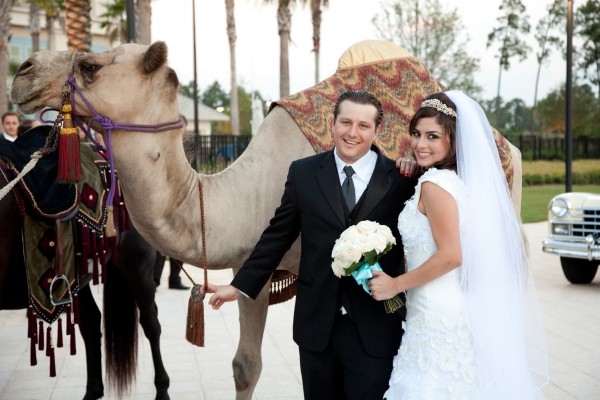 Best Honeymoon Romantic in Egypt- All Inclusive