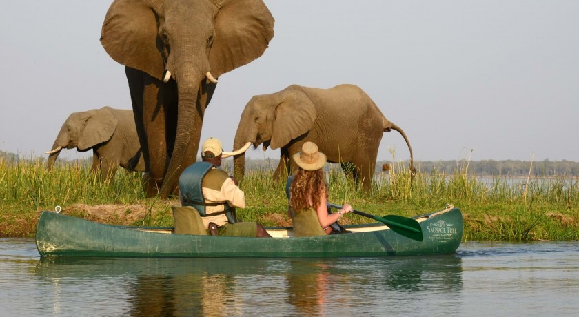 8 Days Safari And Cultural