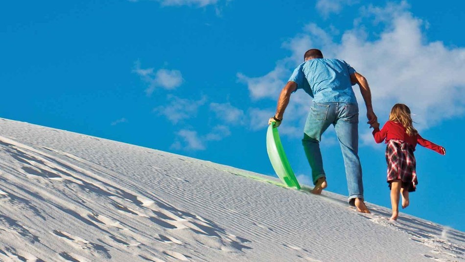 Egypt Safari Packages: Unveiling Ancient Wonders