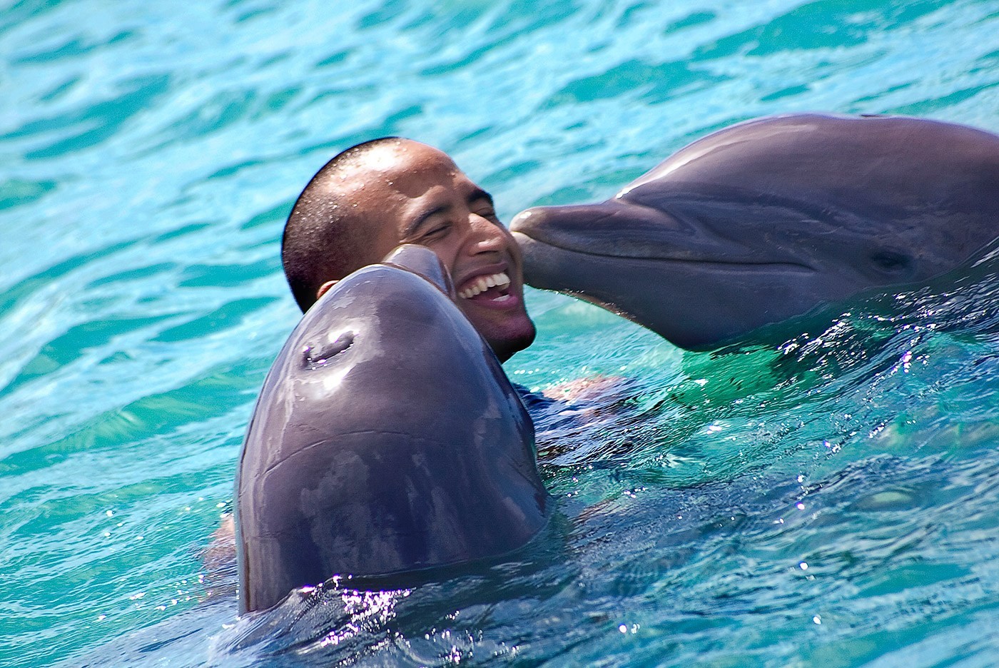 Dolphin House Tours in Marsa Alam