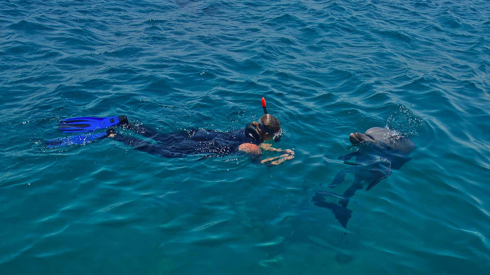 Sharm El Luli snorkeling tours