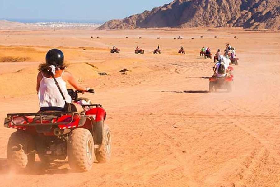 Safaris en Marsa Alam
