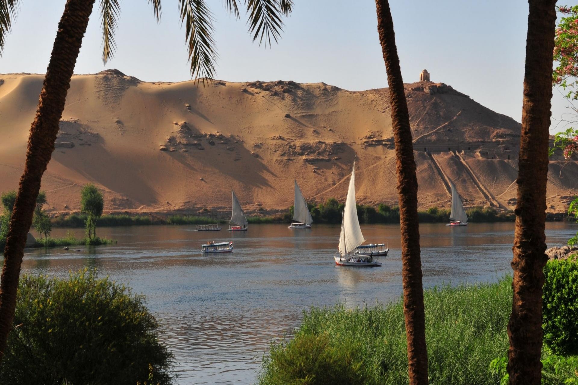 Pyramids of Giza Sunset