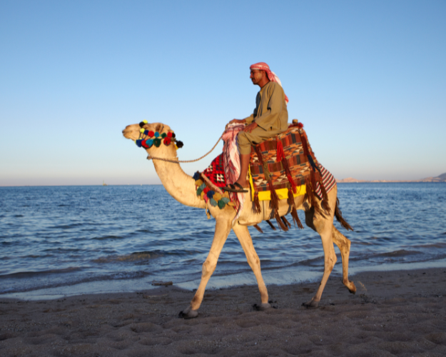 Dahab Tours and Excursions