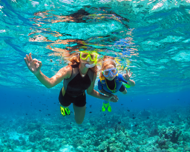 Egypt Red Sea Holidays