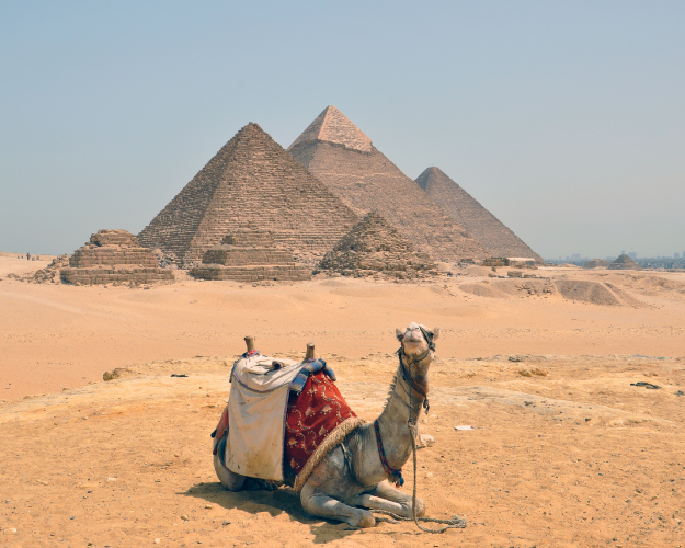 Cairo Tours and Excursions