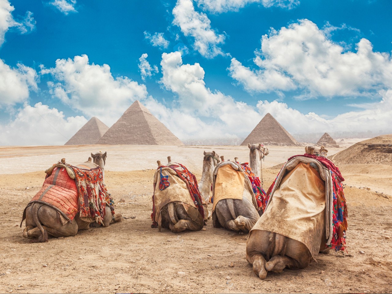 Cairo Tours from Aswan by Plane