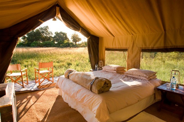 7 Days Wildlife Safari