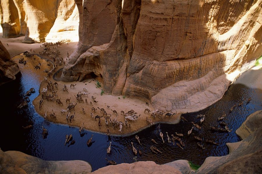Tours a Wadi El Gemal en Marsa Alam